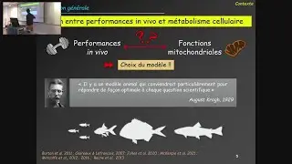 Conférence du 01/04/2022 : Loïc TEULIER
