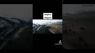 Нооката аламан улак