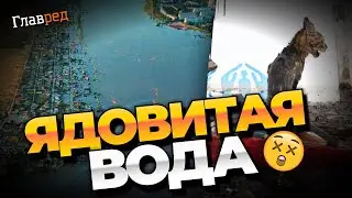 Оккупантам нездоровится от эпидемии холеры после собственноручно сделанной катастрофы