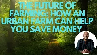 The future of farming : how an urban farm.can help you save money. | HNVLOG 2022