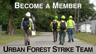 Become a Member of an Urban Forest Strike Team