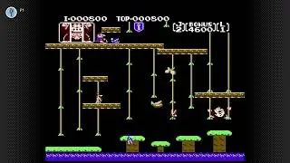 Donkey Kong Jr. Level 1