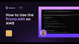 How to Use the Pruna AI AMI on AWS