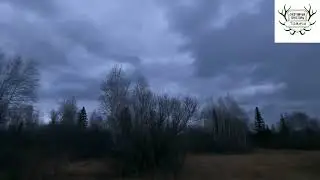 Открытие охоты по Вальдшнепу 2024🔥 Первая вечерняя тяга подарила мне долгожданный трофей👍