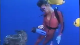 Hot Tight Wetsuit Girl Diving 