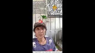 HALO SEMUA