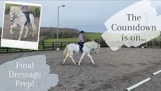 THE COUNTDOWN IS ON! / Our final dressage prep