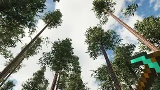 Minecraft or Real Life? - 4K