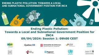 Sesión 1:  Hacia una posición de los gobiernos locales y subnacionales para el INC4