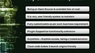 Wordpress Development Company