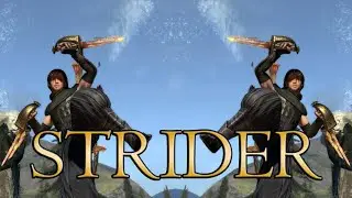 Dragon's Dogma Class Guide: STRIDER