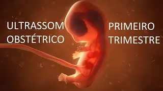 OBSTETRIC ULTRASOUND | FIRST TRIMESTER 