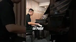 Chơi Piano có Pedal và không Pedal