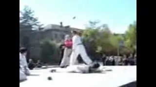 показательные  выступления  по таэквондо