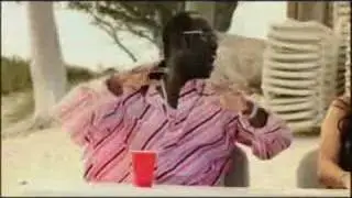 Stevie S - Hold Ya Head