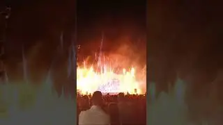 AM Life в прямом эфире Праздник Риги!