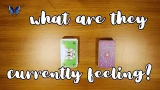 💖💘💝 WHAT ARE THEY CURRENTLY FEELING?  😍🥰  Timeless Tarot Reading 🔮💫