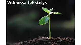 Elämätön elämä