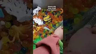 Serunya bermain sensory play Water beads | Pearl Rainbow #sensorik #tebakwarna #tebakhewan