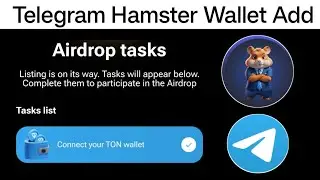 Hamster kombat ton wallet connect | telegram Hamster Wallet add tutorial