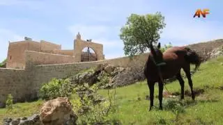 Le printemps à Bagok