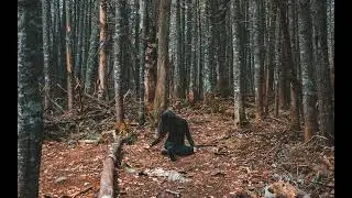 [FREE FOR PROFIT] Sad Guitar Type Beat 