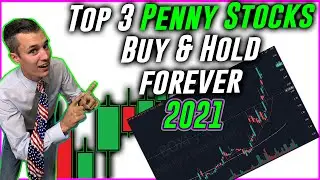 Top Penny Stocks To Buy & Hold Forever 2021