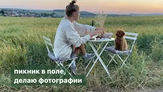 мальтипу | делаем красивые фото | пикник