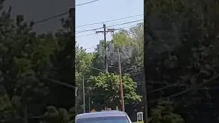 Smoky telephone poll🔥