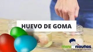 Vídeo - El huevo de goma - mini-nautas - Experimentos de ciencia para niños