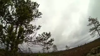 Охота на гуся 2013 осень