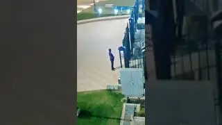 gate falls on security