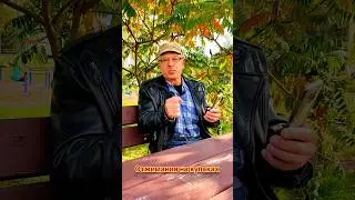 Отжимания на кулаках