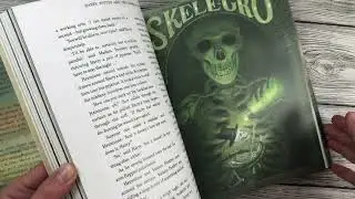 J.K.Rowling Harry Potter and the Chamber of Secrets. Scholastic, illustrated by Jim Kay. Обзор