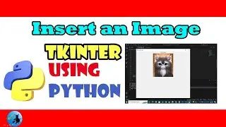 How to add an image to tkinter form using Python Codes