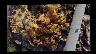 Пару дней в деревне