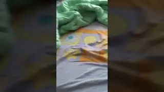 ШОК МОЙ КОТ ВИДИТ ПРИЗРАКА ИЛИ ДОМОВОГО