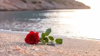 إسكندرانى   عزت عوض الله   YouTube
