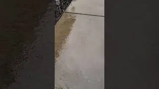 Surprise Rain in the Central Valley of California April 2024