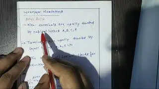 Grammar notation(Theory of computatio)