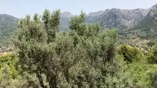 Von Palma nach Soller mit der Eisenbahn