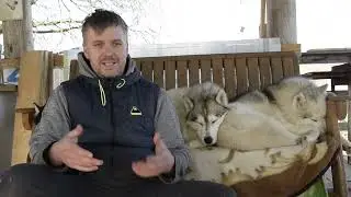 #Эпилепсия у Хаски. Личный опыт, как вы глядит приступ у собаки, как помочь при эпилепсии
