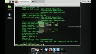 Linux Mint Internet Connection Fix