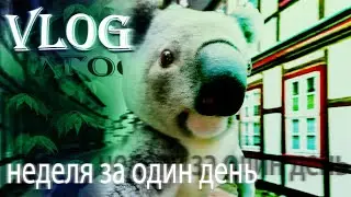 ❰ vlog ❱ неделя за один день