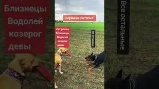 терпение не вечно.