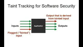 Dynamic Taint Tracing for Program Vulnerability Detection