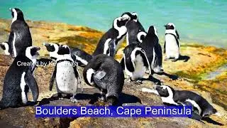 South Africa, Travel with Kevin, episode 1