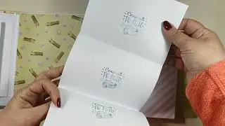 Bienvenida Jirafa colección África