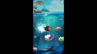 Big Fish / Fishing Game / Arcade Game / Game Machine 大魚 釣魚 魚機 螢幕台