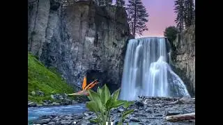 You tube me view's kaise bhadaye